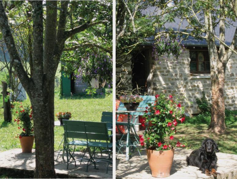 4 Collines Bed & Breakfast Hagnicourt Dış mekan fotoğraf